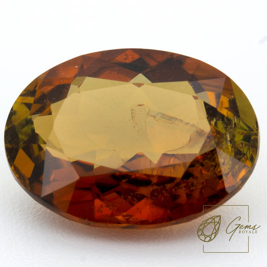 Oval cut Tourmaline 7.27 Ct